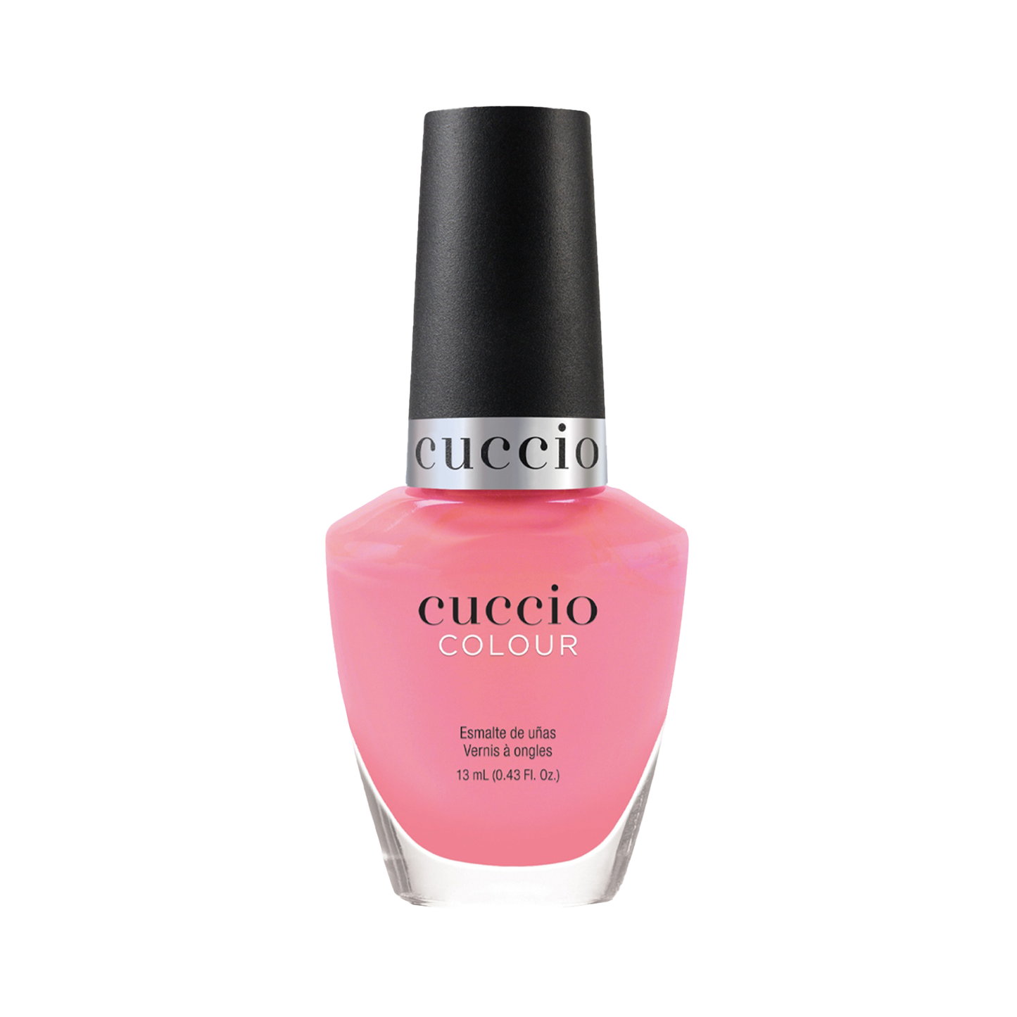 Punch Sorbet 1280