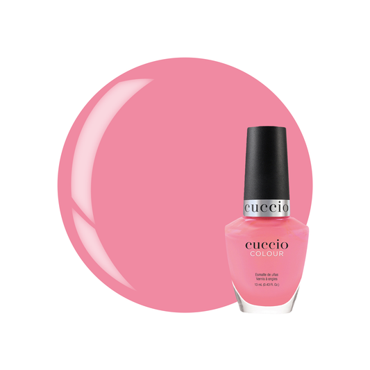 Punch Sorbet 1280